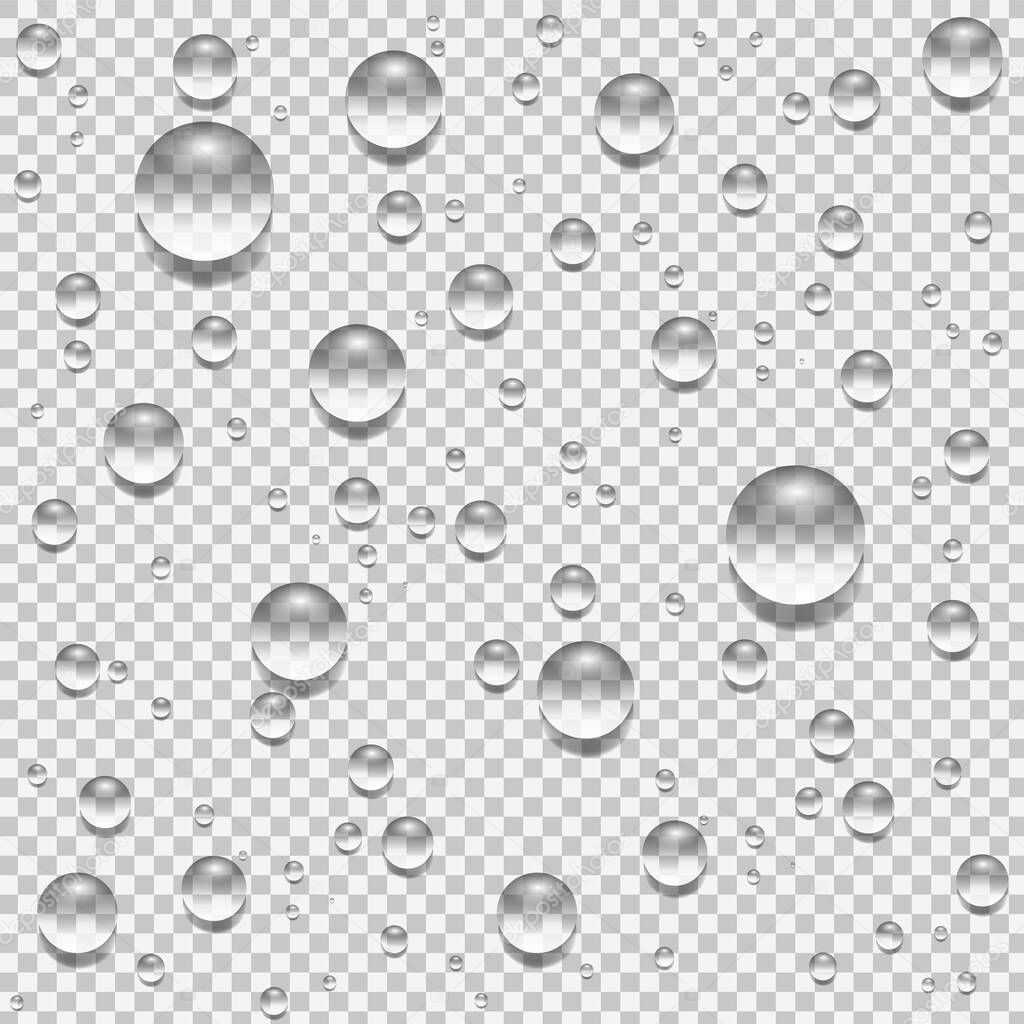 Water, rain, dew or splash shower drops isolated on transparent background.
