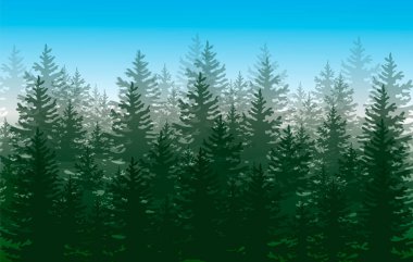 Orman arka planı, doğa, manzara. Evergreen kozalaklı ağaçlar. Vektör illüstrasyonu.