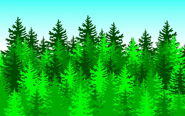 Lesní pozadí, příroda, krajina. Evergreen jehličnaté stromy. Vektor. — Stockový vektor