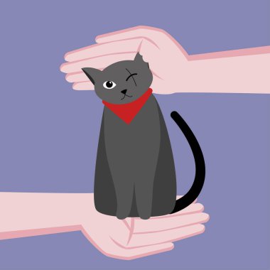 Tek gözlü sevimli kedi özürlü. Bir kediye bakmakta. Eller kediye. Vektör düz karikatür illüstrasyon. Mavi arka planda