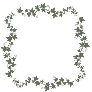Ivy ile yeşil yaprakları asma. Çiçek vektör çerçeve. Resimde yeşil bitki, bir asma dal.