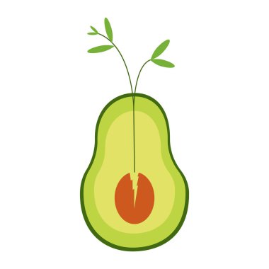 Avokado düz. Filizlenen bitki. Sağlıklı yiyecekler. Doğa. Bitkide yaşam.