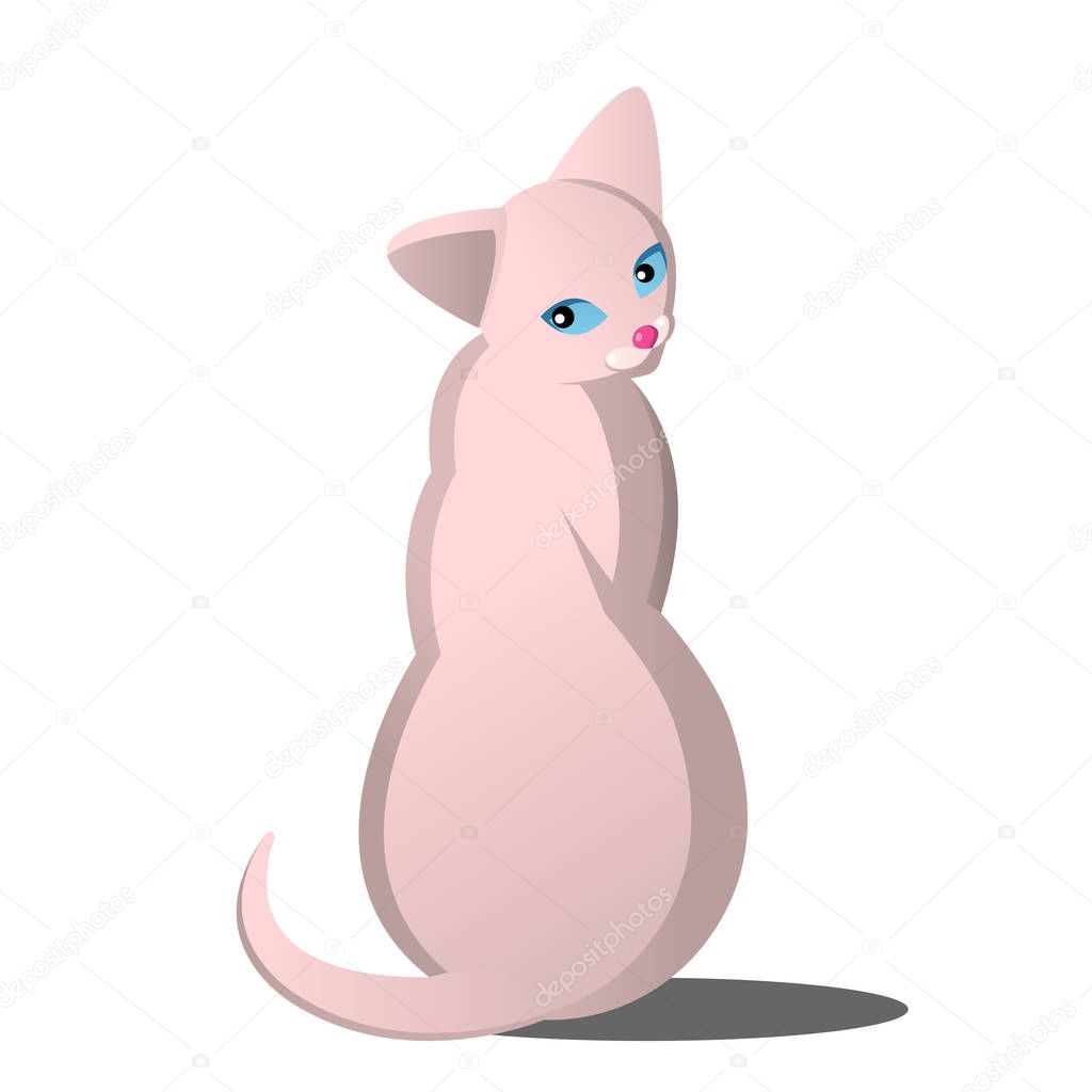 Bald cat of sphinx breed of light color with blue eyes. Stylish vector flat illustration in cartoon style. Cat on a white background