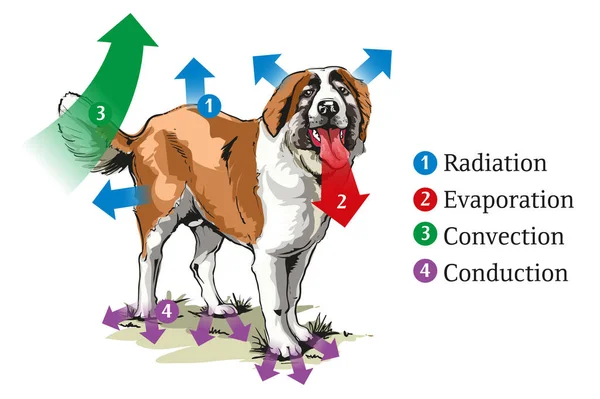 Methods of Transfer of thermal Energy