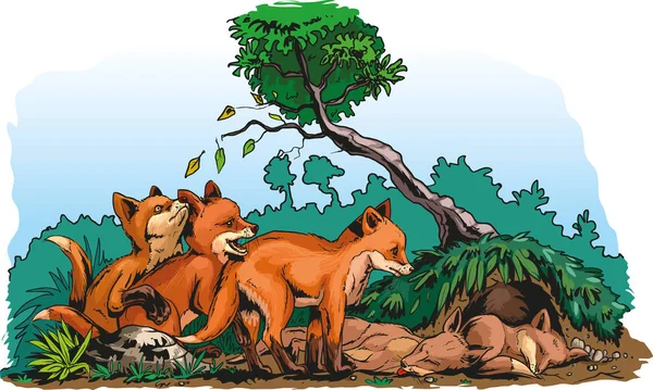 Αλεπούδες Κόκκινο Cubs Δίπλα Από Φωλιά Τους — Διανυσματικό Αρχείο