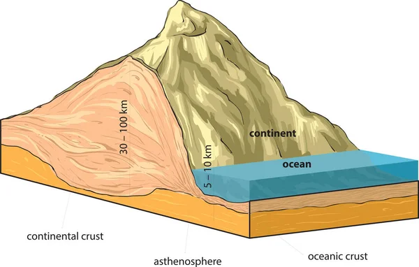 Illustrazione Vettoriale Mostra Crosta Continentale Oceanica — Vettoriale Stock