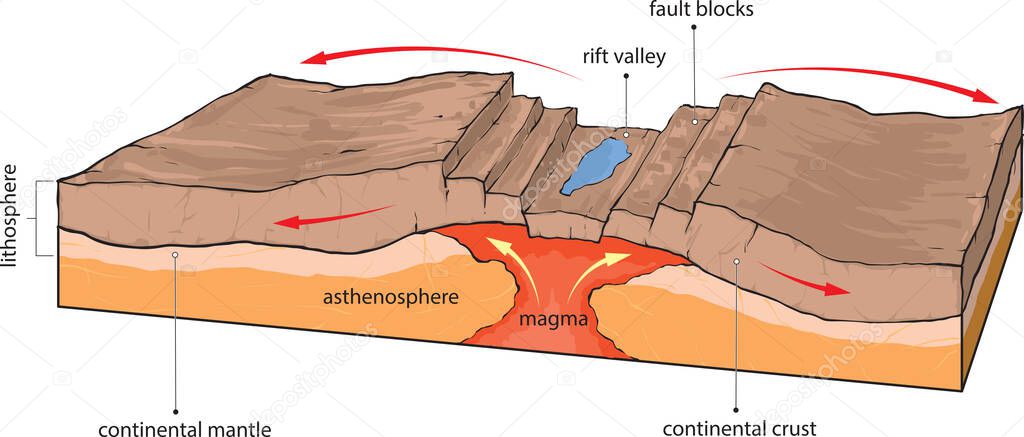 Vector illustration shows divergence of continental tectonic plates.