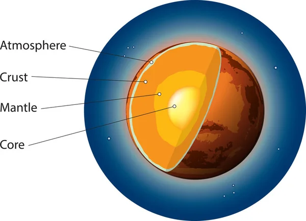 Vektorillustration Der Grundlegenden Inneren Struktur Des Mars — Stockvektor