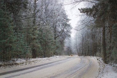 güzel bir manzara kapılar ardında sabah orman, yolun evde, kış