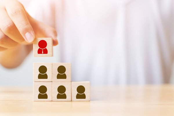 Human resource and talent management and recruitment business concept, Hand putting wood cube block on top staircase