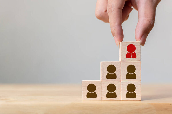 Human resource and talent management and recruitment business concept, Hand putting wood cube block on top staircase