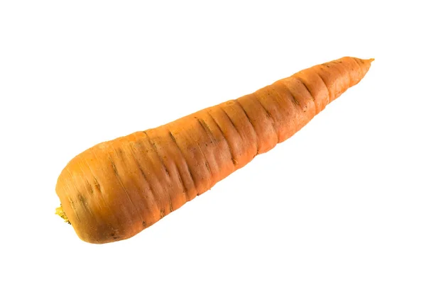 Carrot isolated on white background — Stock Photo, Image