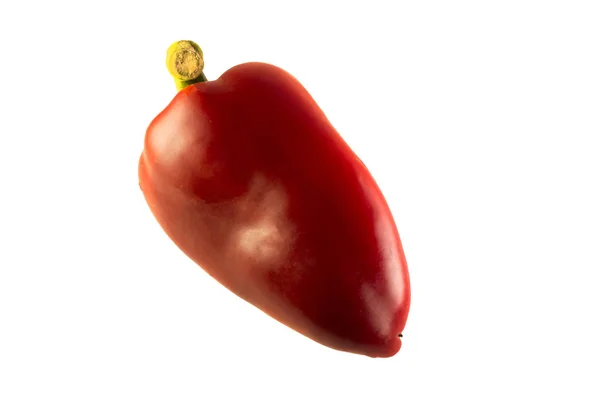 Paprika isolerad på vitt. Paprika — Stockfoto