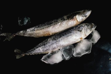 İki donmuş uskumru ve siyah zemin buzlu, donmuş balık.
