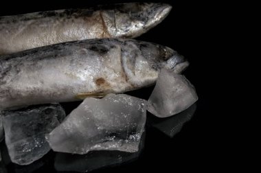 Siyah zemin üzerinde donmuş iki uskumru buzunun yakın plan görüntüsü, donmuş.