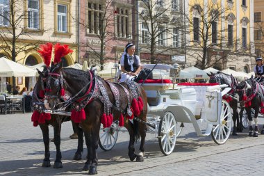 Krakow, Polonya - 13 Nisan 2018: Beyaz taksi ile atları şenlikli bir koşum ana piyasada çizilmiş