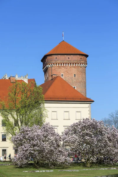 Krakow Polonia Abril 2018 Wawel Royal Castle Senator Bastion Blooming — Foto de Stock