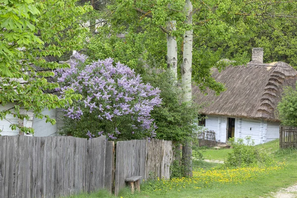 Tokarnia Polska Maja 2018 Stare Tradycyjne Polskie Drewniany Dom Skansen — Zdjęcie stockowe