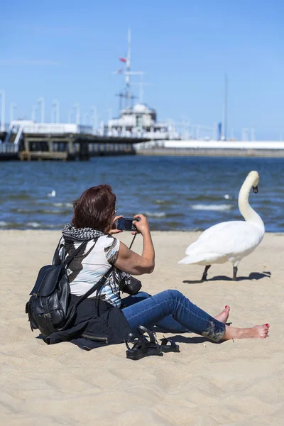 Sopot Polska Czerwca 2018 Zdjęcie Biorąc Kobieta Łabędzie Piaszczystej Plaży — Zdjęcie stockowe