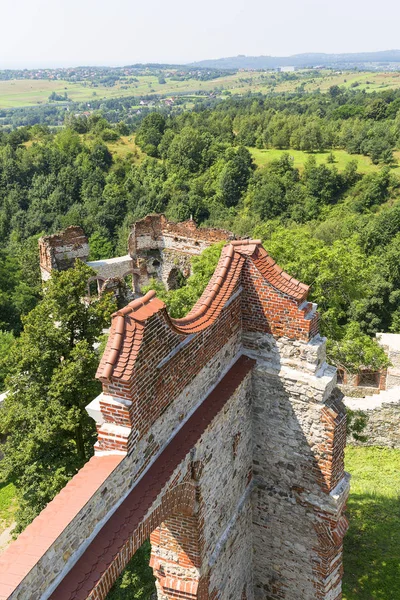 Rudno Polen Juli 2018 Ruinen Einer Mittelalterlichen Burg Aus Dem — Stockfoto