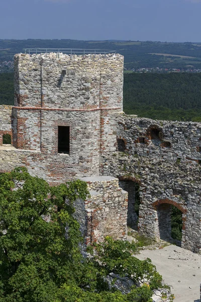 Rudno Polonya Temmuz 2018 Yüzyıl Ortaçağ Kalesi Tenczyn Kalesi Polonya — Stok fotoğraf