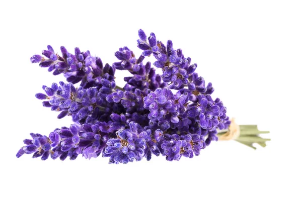 Bouguet Flores Lavêndula Violeta Isolado Fundo Branco Close — Fotografia de Stock