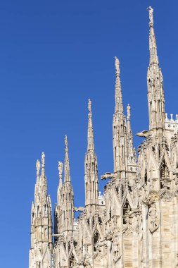 Milan Katedrali (Duomo di Milano), Gotik kilise, Milano, İtalya. İtalya 'nın en büyük ve dünyanın en büyük üçüncü kilisesidir.