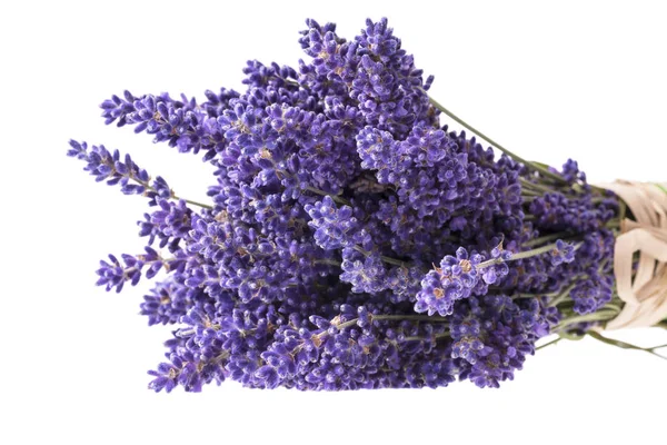 Bouguet Aus Violetten Lavendelblüten Isoliert Auf Weißem Hintergrund Nahaufnahme — Stockfoto