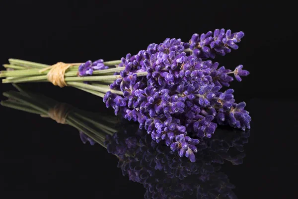 Bouguet Květy Fialové Lavendula Izolované Černém Pozadí Zblízka — Stock fotografie