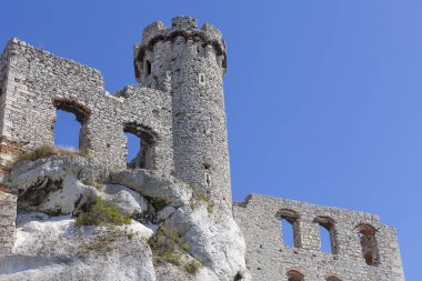 Ortaçağ kalesi, Ogrodzieniec Kalesi, Podzamcze, Polonya. Şato 14. yüzyılda inşa edilen 515.5 metre yüksekliğindeki Castle Dağı 'nda yer almaktadır.