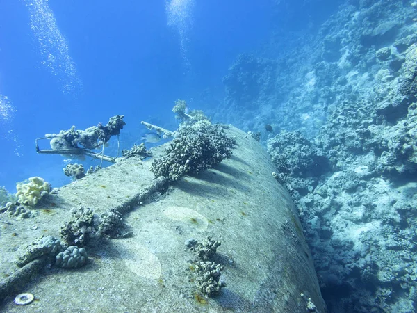 Relitto Vecchia Nave Ricoperta Barriera Corallina Fondo Mare Tropicale Promontorio — Foto Stock