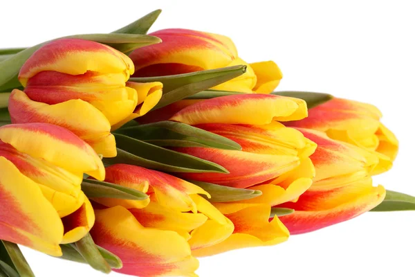 Strauß Frühlingsblumen Gelb Rote Tulpen Isoliert Auf Weißem Hintergrund Nahaufnahme — Stockfoto