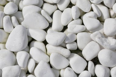 Arka plan beyaz düz çakıl taşları, yakın çekim