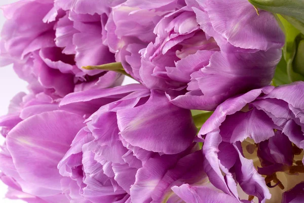 Bouqet Fleurs Tulipes Roses Gros Plan — Photo