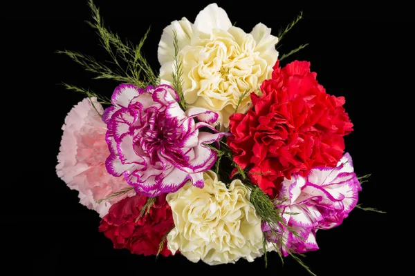 Bouqet de fleurs multicolores d'oeillets (Dianthus) isolé o — Photo
