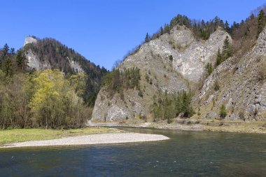 Dunajec Nehri Geçidi, ilkbahar, Szczawnica, Polonya