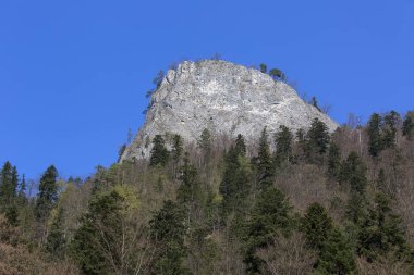 Sokolica zirvesi, Dunajec Nehri Geçidi'ni; Dunajec, Pieniny Dağları, Polonya