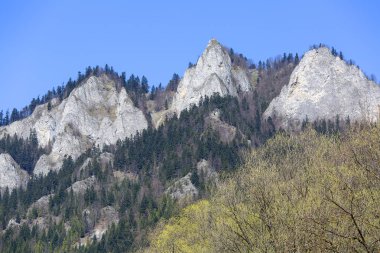 Üç Taç Massif, Pieniny Dağları, Szczawnica, Polonya