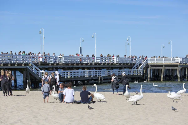 Muelle de madera Sopot en día soleado, Sopot, Polonia — Foto de Stock