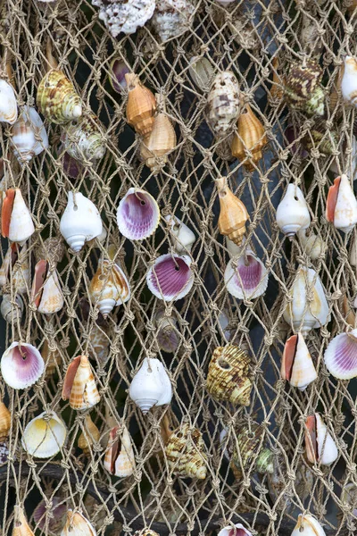 String net with colorful shells, handmade decoration, souvenir shop in a seaside town, Italian Riviera, Italy