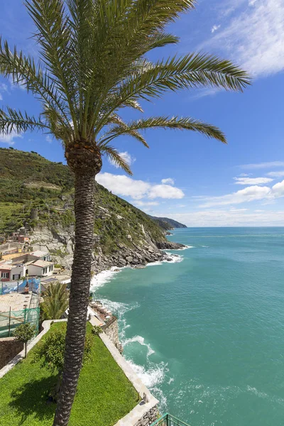 Akdeniz, manzara, büyük palmiye, Doria Kalesi, Vernazza, Cinque Terre, İtalya görünümü