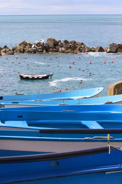 地中海の青いボート、水の眺め、チンクエテッレ、リオマッジョーレ、イタリア — ストック写真