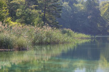 Plitvice Gölleri Milli Parkı, doğanın bir mucizesi, Hırvatistan