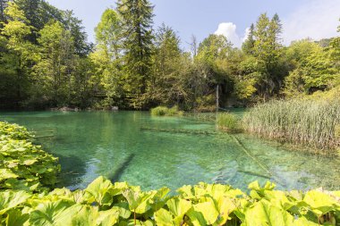 Plitvice Gölleri Milli Parkı, doğanın bir mucizesi, Hırvatistan