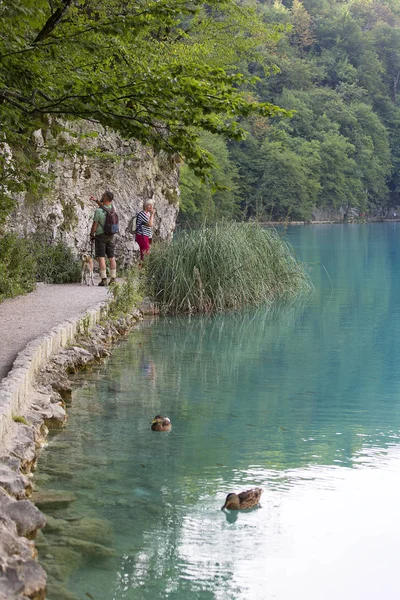 Nationaal Park Plitvicemeren, een wonder van de natuur, turquoise meer, Kroatië — Stockfoto