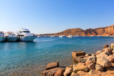 SHARM EL SHEIKH, EGYPT - 20 Kasım 2019: Kızıldeniz mercan kayalıklarında dalış yapmak için turizm gemileri ve dalış botları