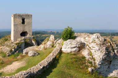 Polonya 'nın Jurassic Highland, Olsztyn, Silezya, Polonya' daki Ortaçağ Gotik Kalesi kalıntıları