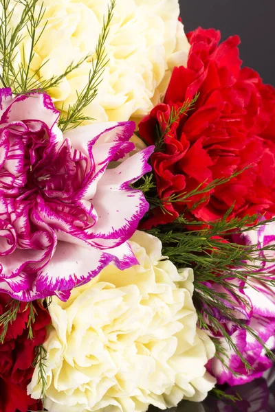 Buquê Belas Flores Coloridas Cravo Close — Fotografia de Stock