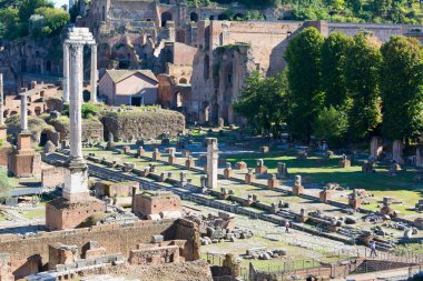 Forum Romanum, Roma, İtalya gibi pek çok önemli antik binanın kalıntıları.
