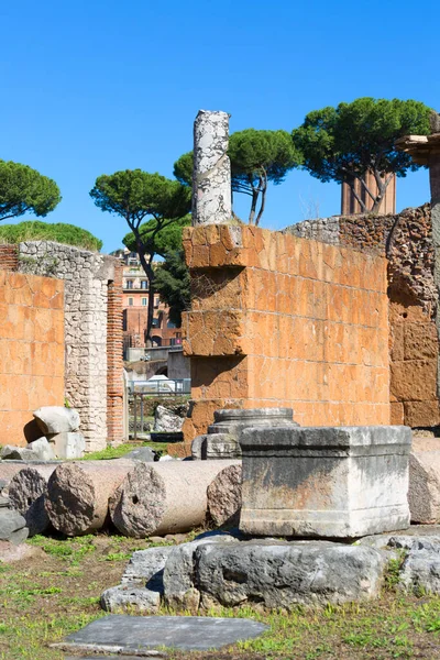Forum Romanum Vista Las Ruinas Varios Edificios Antiguos Importantes Roma — Foto de Stock